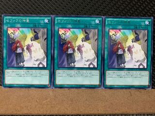 【ぽぽたん】遊戯王 8243 セフィラの神意 3枚 レア