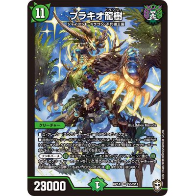 〔状態B〕ブラキオ龍樹【SR】{RP14S5/S11}《自然》 1枚