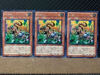 Popotan] Yu-Gi-Oh! 8226 Snyffus 3 rare