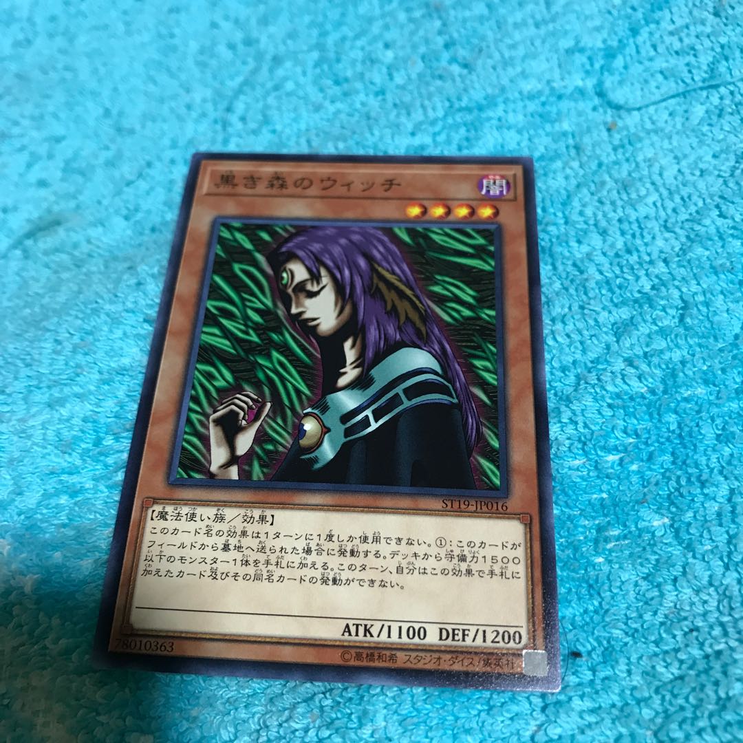 mg8-7Witch of the Black Forest