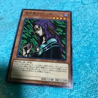 mg8-7 Witch of the Black Forest