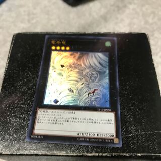 竜巻竜 ウルトラレア