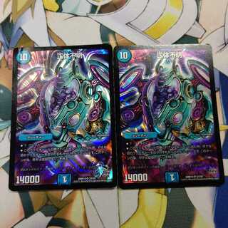 正体不明 2枚セット