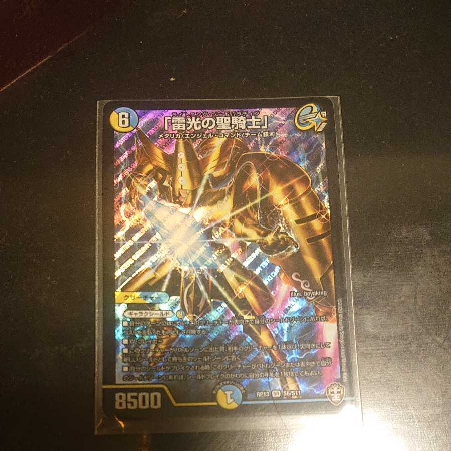 「雷光の聖騎士」