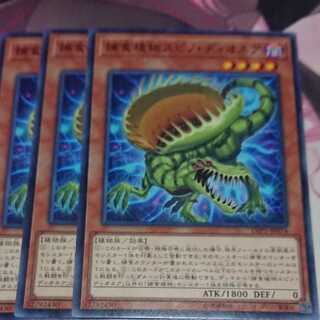 Predaplant Spinodionaea Normal 3