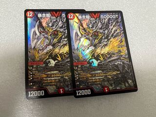 暴走龍 5000GT 2枚セット