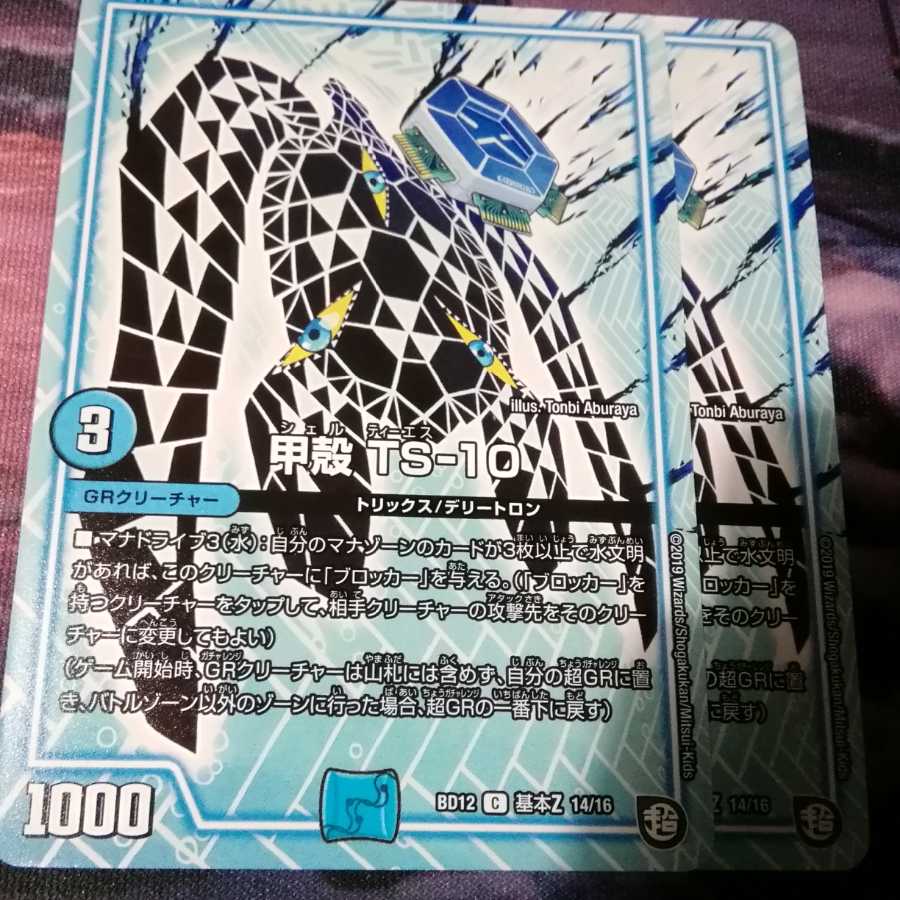 シェル　甲殻　TS-10 ２枚