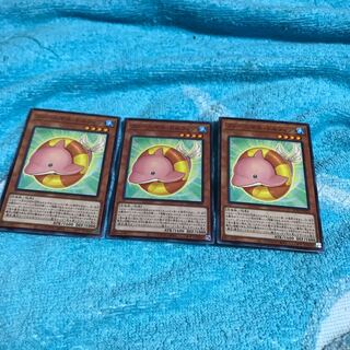 mg8-6 fernimal 3 dolphins