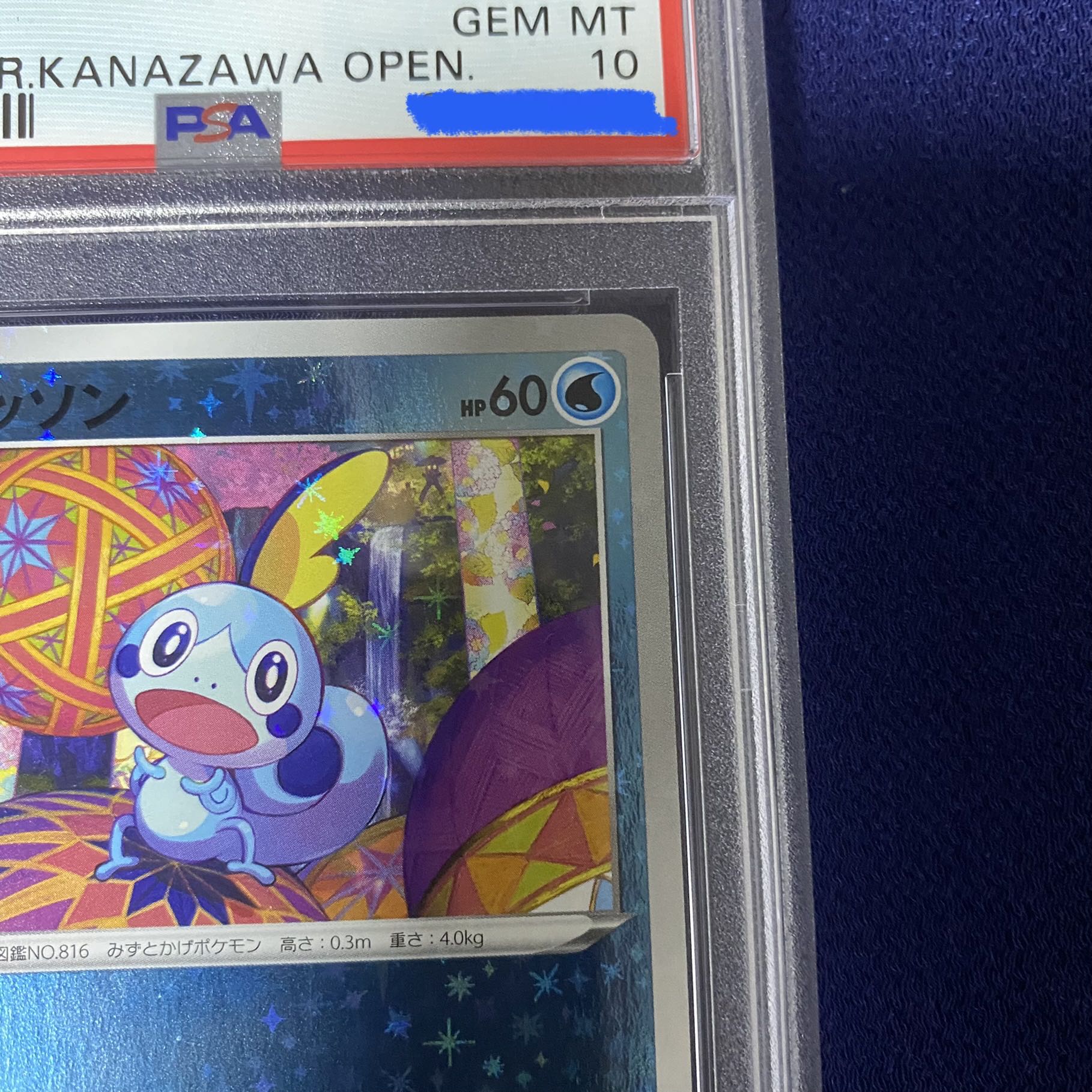 カナザワのメッソン、 PSA10、鑑定済み品