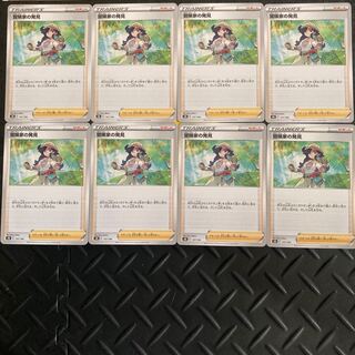 冒険家の発見 8枚セット