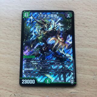 プリンプリン様専用 ブラキオ龍樹