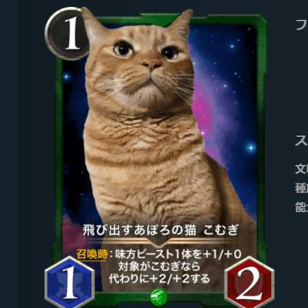 飛び出すあぽろの猫 こむぎ 2枚セット