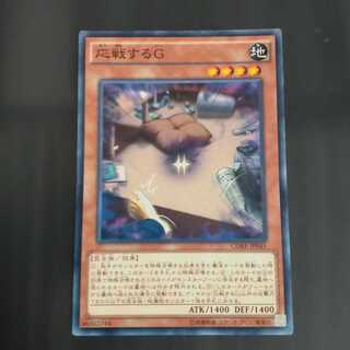 応戦するG ノーマル　【木林堂】