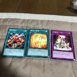 mg8-5 wild life open + 2 others