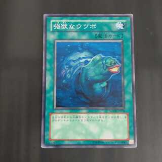 強欲なウツボ ノーマル　【木林堂】