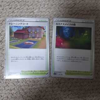 トレーニングコート　ルミナスメイズの森