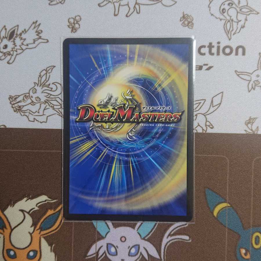 神聖龍 エモーショナル・ハードコア SR