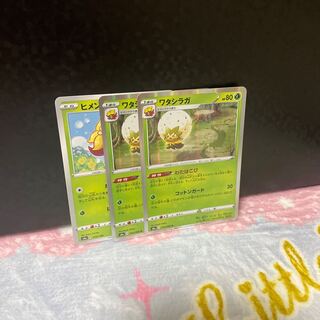 ワタシラガ・ヒメンカ【合計在庫3枚】