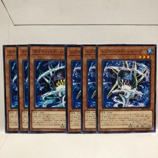 Right-Hand Shark Left-Hand 3 each Normal Mahoko