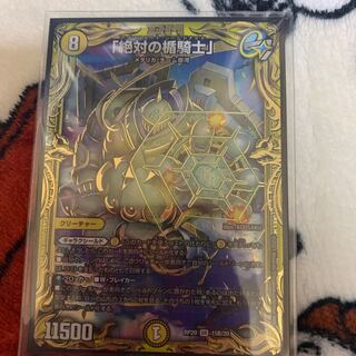 「絶対の楯騎士」