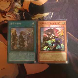 グリフォンライダー 運命の旅路