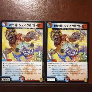 endセット割引　魂の絆シェイク&S-駆