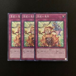 n72 Ritual Beast Steeds Super Rare 3 cards Yu-Gi-Oh!