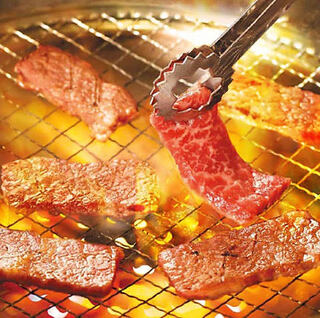 生ける屍@平日発送様専用 20口