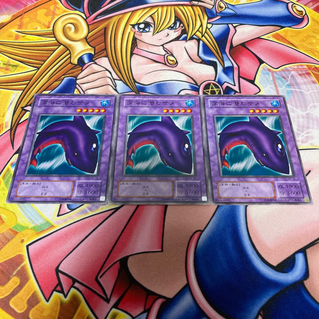 深海に潜むサメ