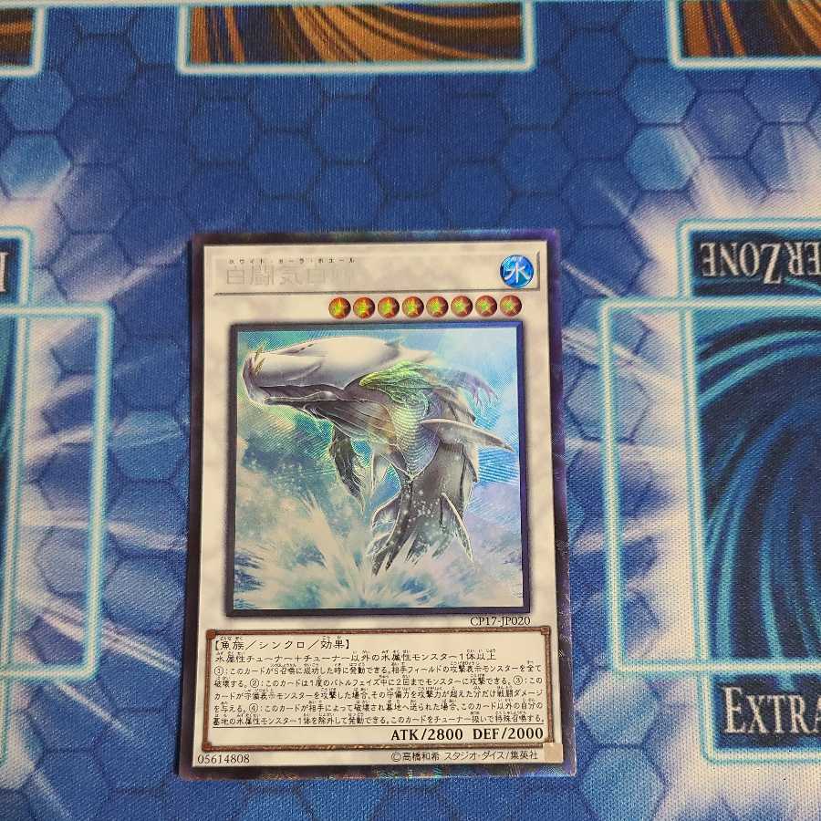 White Aura Whale Collector's Rare