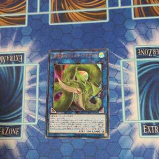 捕食植物ヴェルテ・アナコンダ ウルトラレア