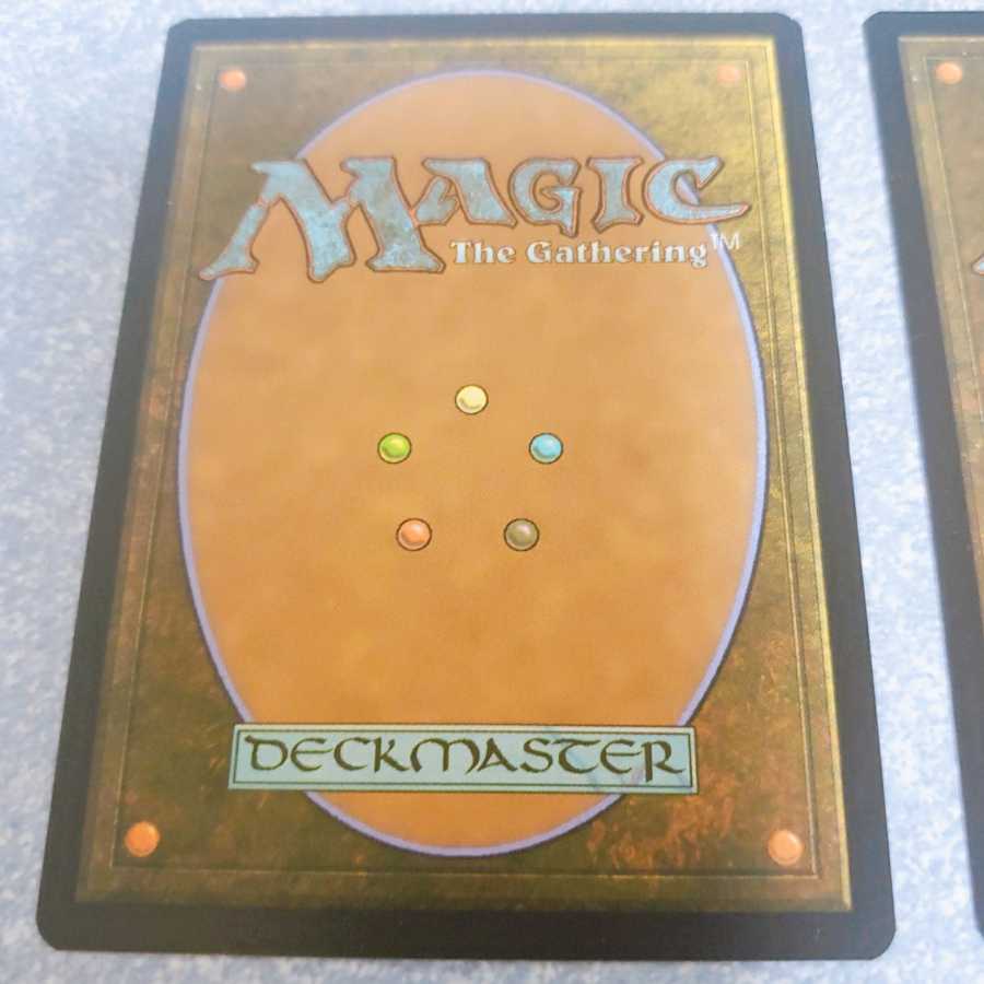 【MTG】狂乱の呪詛 日本語拡張版2枚セット 【AFR統率者】 2枚