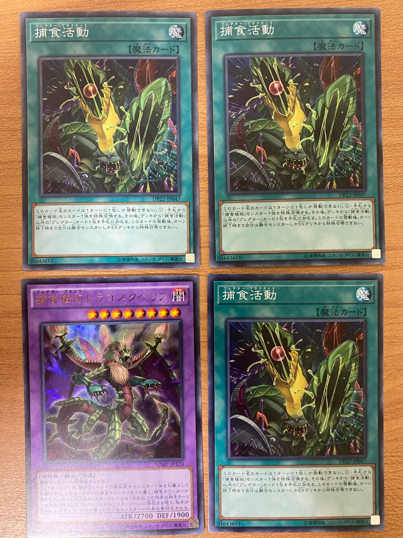 捕食植物ドラゴスタペリア、捕食活動