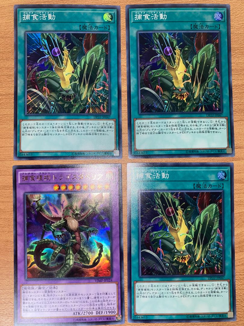 捕食植物ドラゴスタペリア、捕食活動