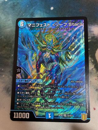 マニフェスト<リーフStar>