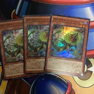 【Y】捕食植物サンデウ・キンジー スーパーレア 3枚