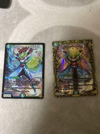 Minogami <Saga.Star>.