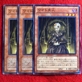 The Lady in Wight☆4502