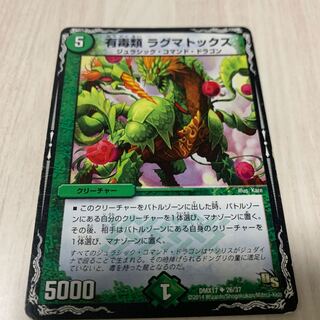 有毒類 ラグマトックス