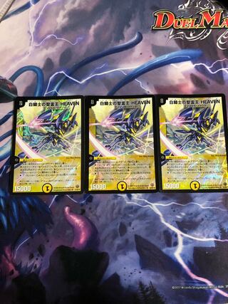 白騎士の聖霊王 HEAVEN