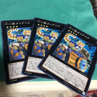 十二獣タイグリス ノーマル　3枚