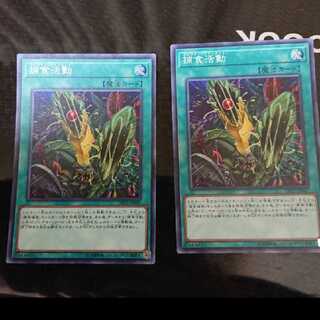 捕食活動 スーパーレア 2枚セット