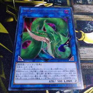 捕食植物ヴェルテ・アナコンダ ウルトラレア 1枚