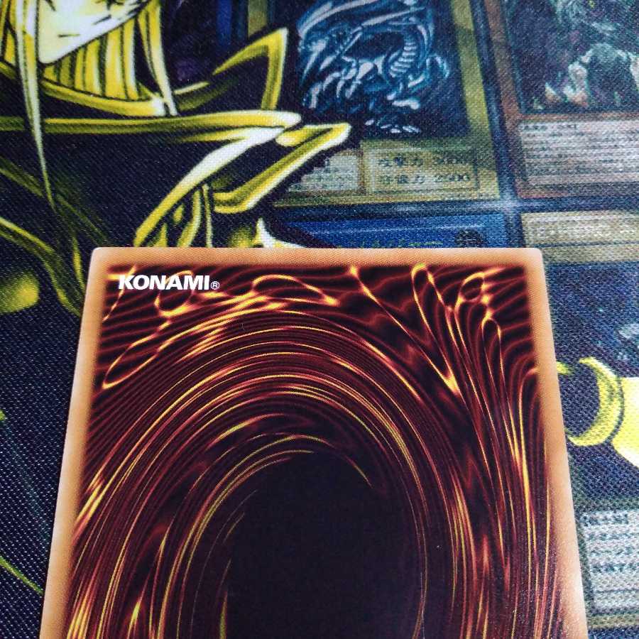 捕食植物ヴェルテ・アナコンダ ウルトラレア 1枚