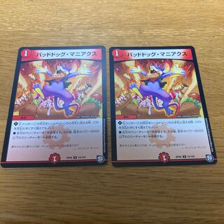 Dangerous Dog Maniacs 2 pieces