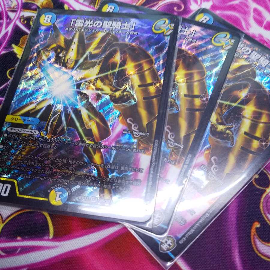 「雷光の聖騎士」