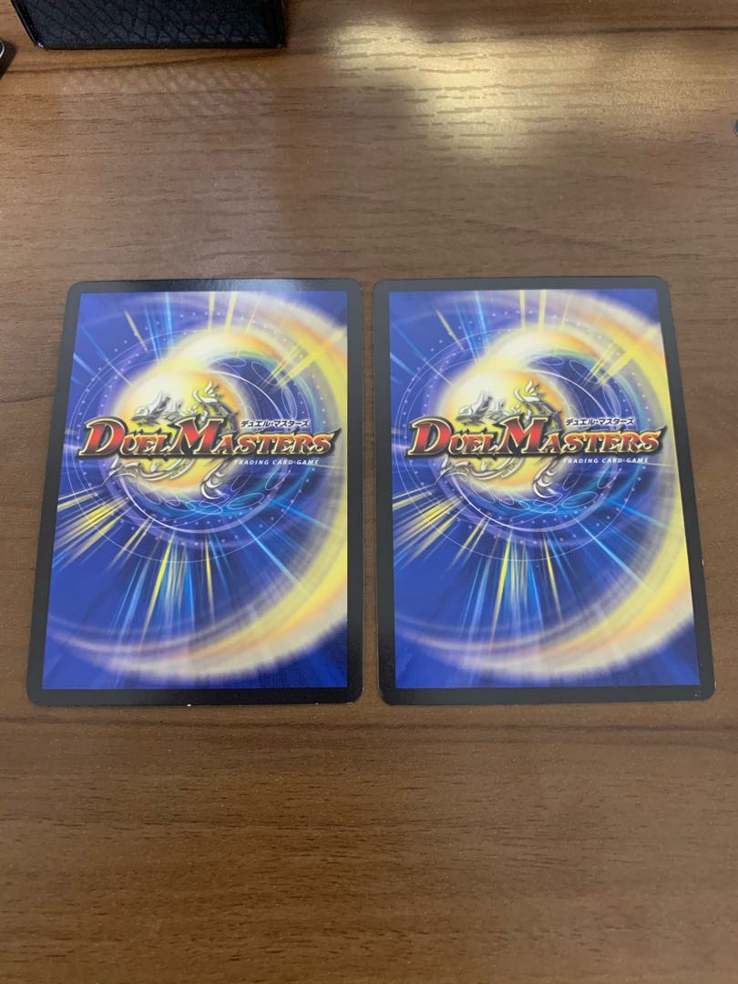 煌龍 サッヴァーク SE