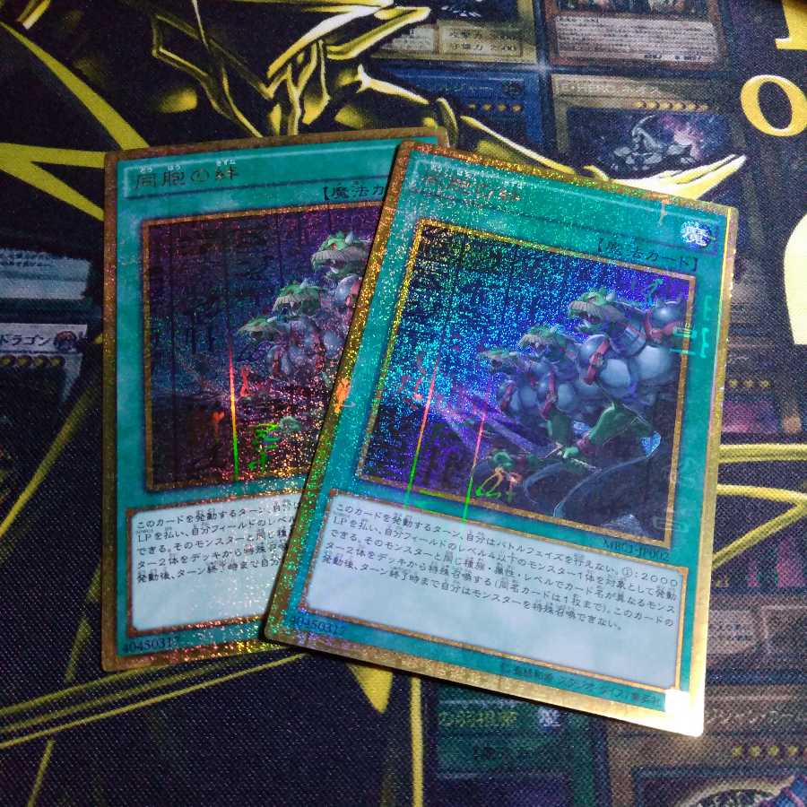 同胞の絆 ミレニアムゴールドレア 2枚