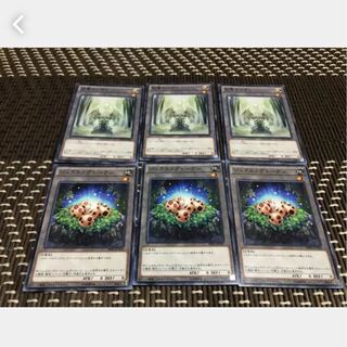 POPPOTAN] Yu-Gi-Oh! Token Set