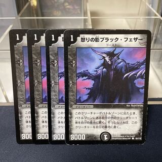 怒りの影ブラック・フェザー